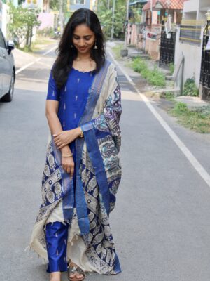 Royal Elegance Salwar Set